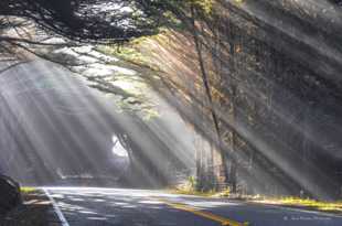 Fog rays on Hwy 1-3010